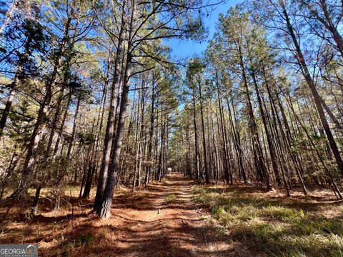 Photo of 0 St Marys Road, Crawfordville, GA 30631 (MLS # 10655492)