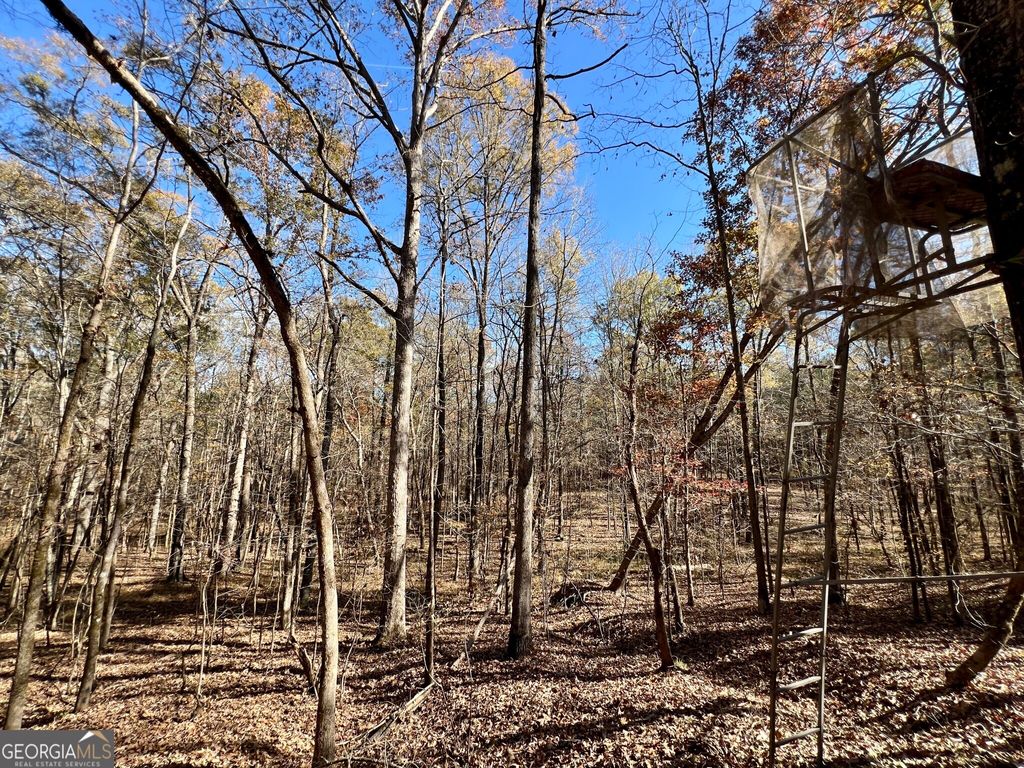 Photo of 0 St Marys Road, Crawfordville, GA 30631 (MLS # 10655492)