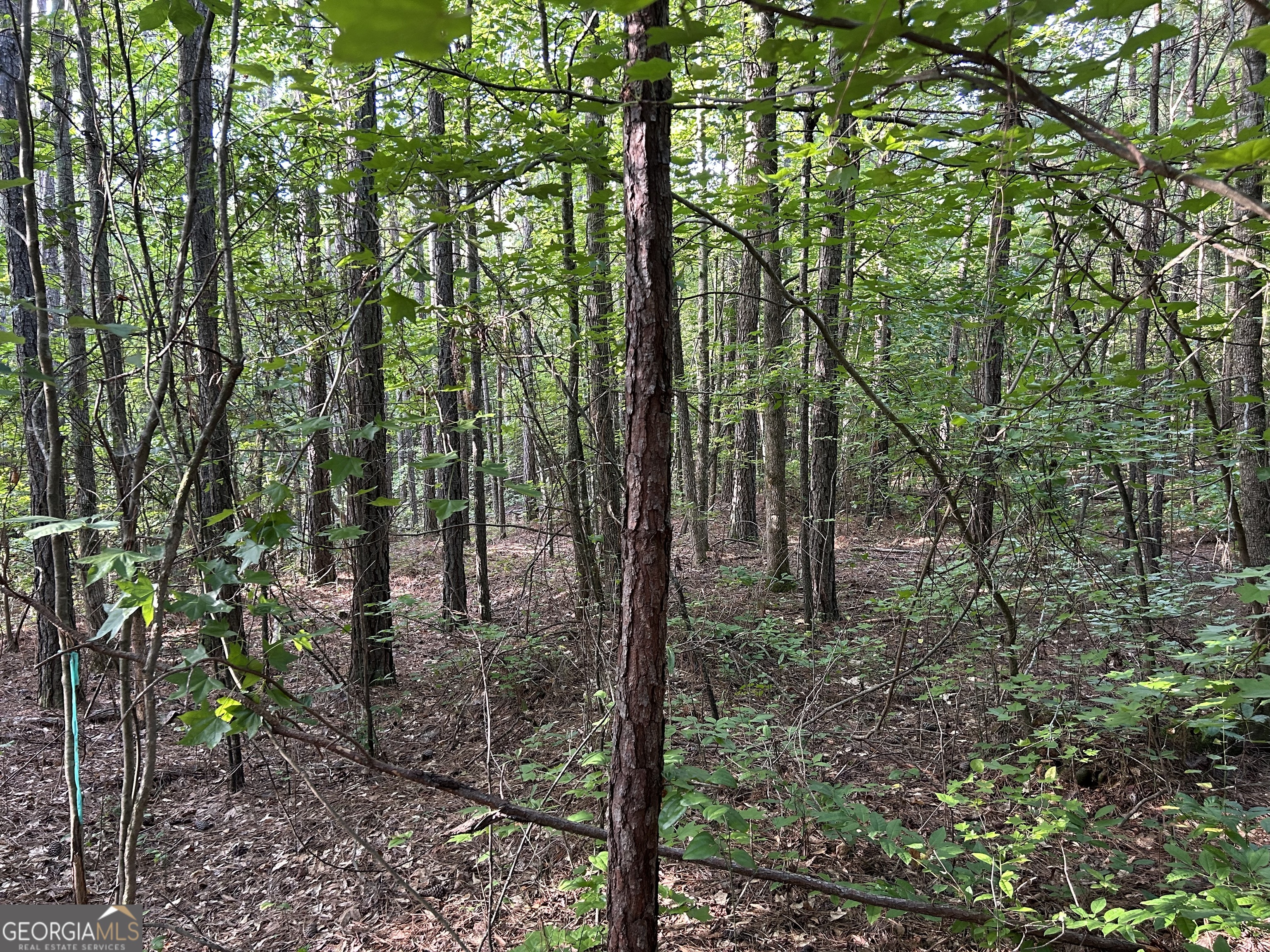 0 TRACT 2 Little New York RD