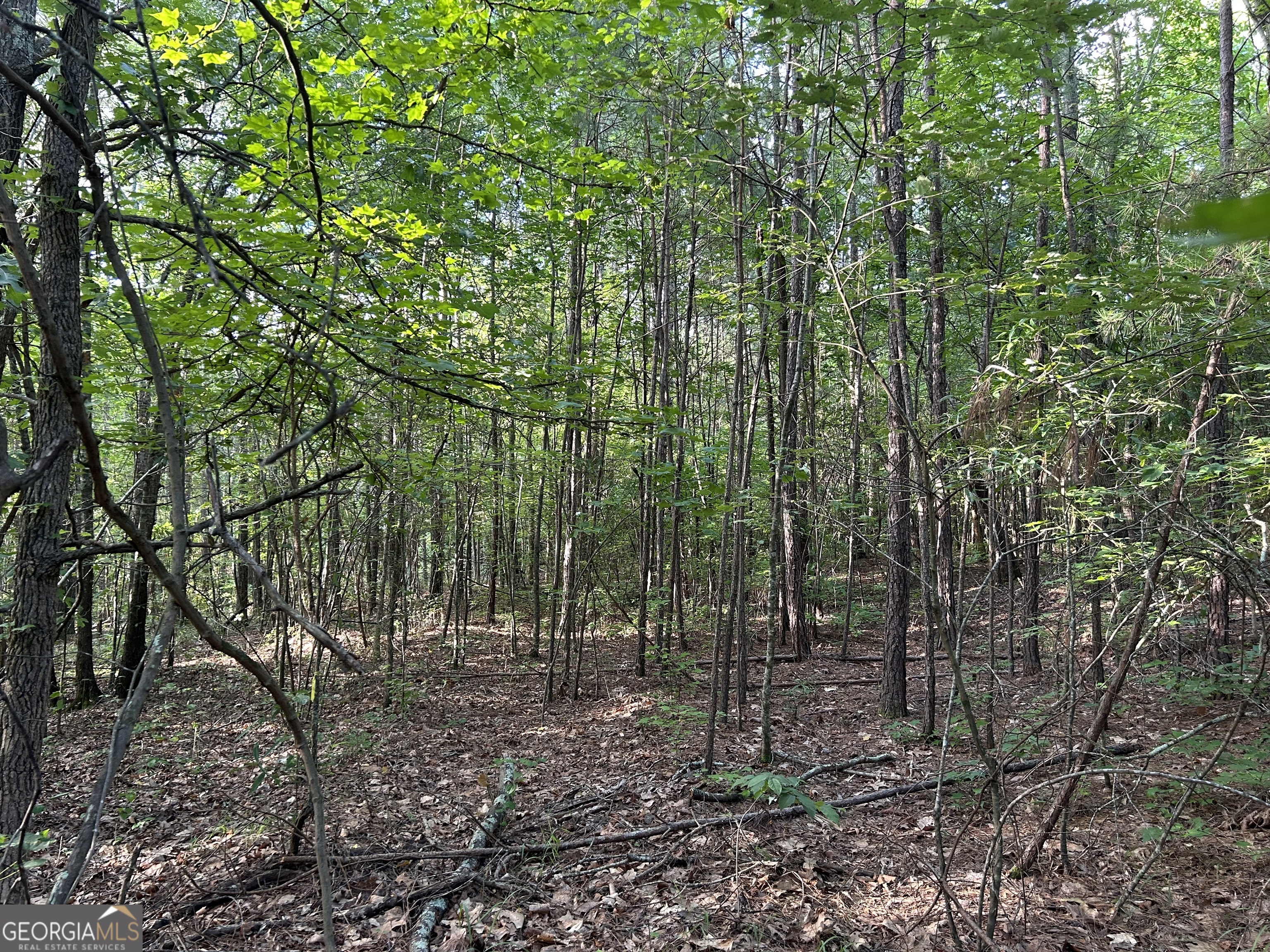 0 TRACT 2 Little New York RD