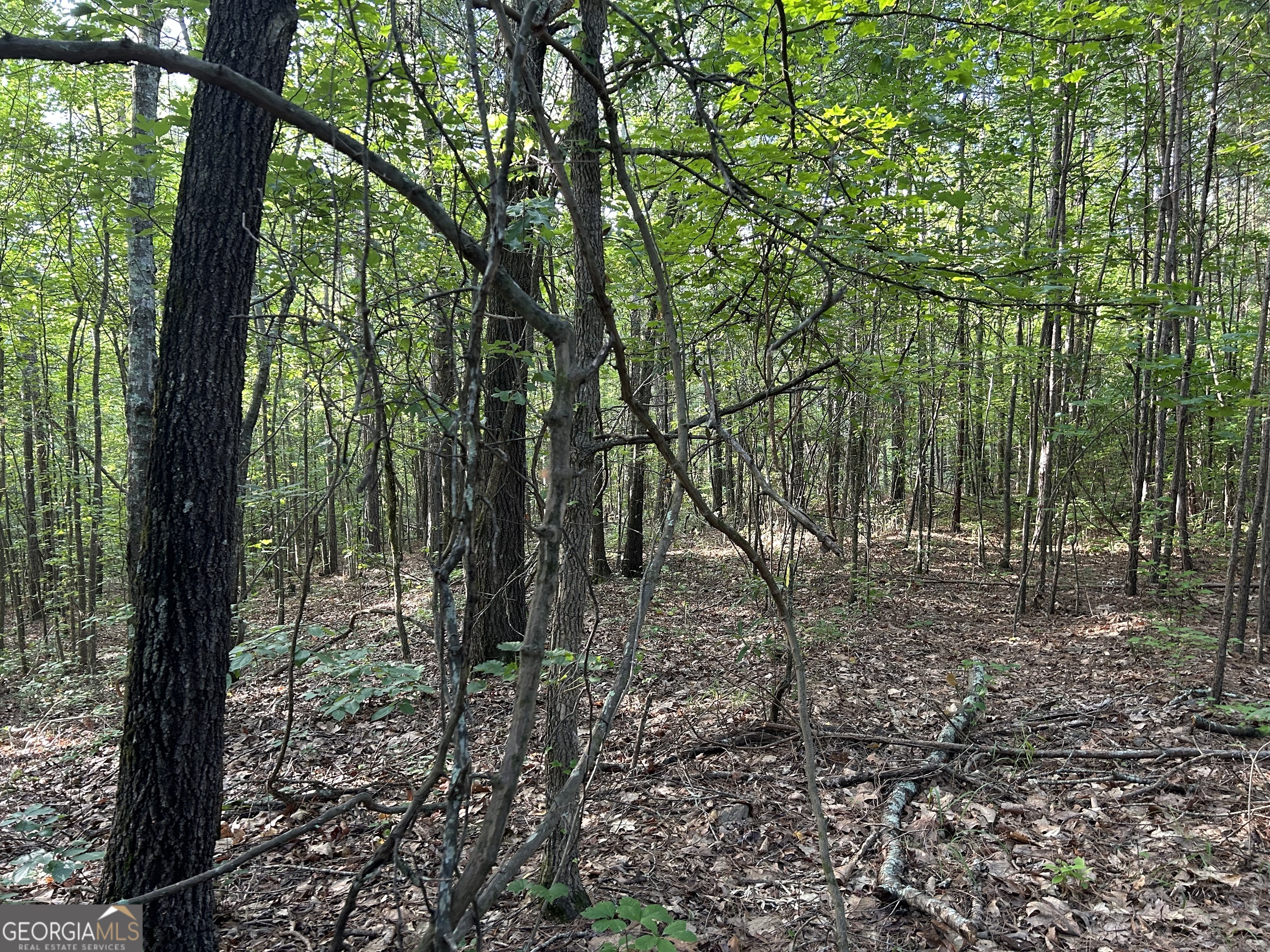 0 TRACT 2 Little New York RD