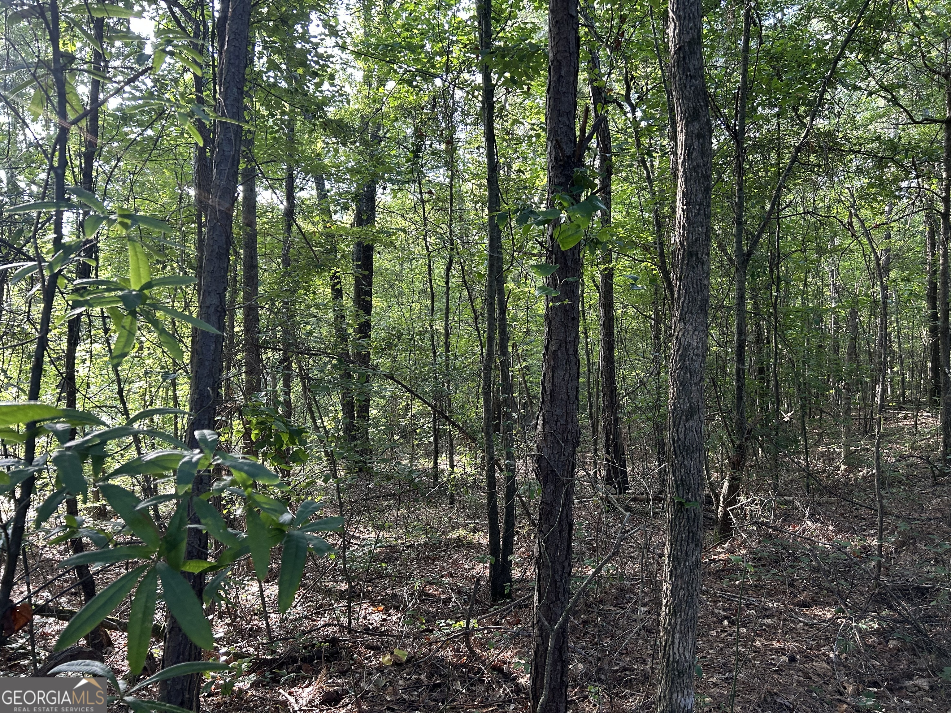 0 TRACT 2 Little New York RD
