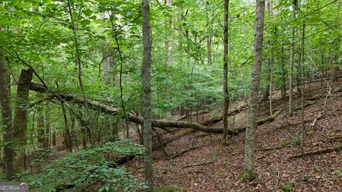 LOT 16 Morris TRL Cleveland GA 30528