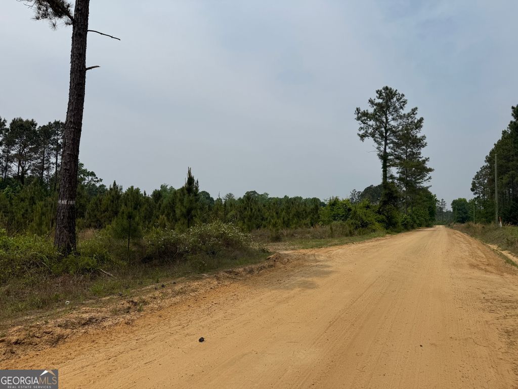 Photo of 15 Graham Lane, Cadwell, GA 31009 (MLS # 10776804)