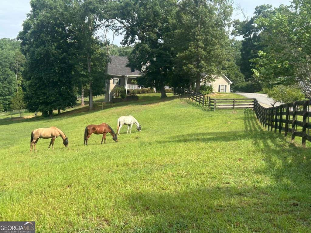 Photo of 149 Ratcliff Drive, Dawsonville, GA 30534 (MLS # 10817386)