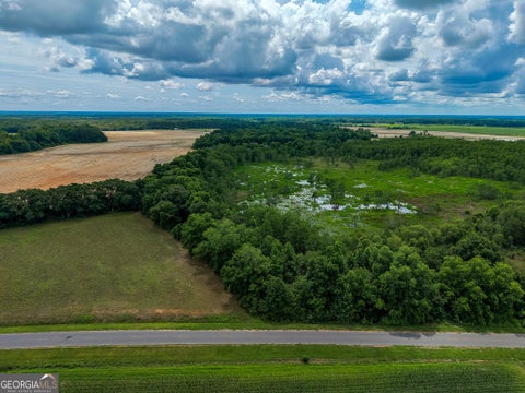 Photo of 1 Haynes Road, Edison, GA 39846 (MLS # 10788556)