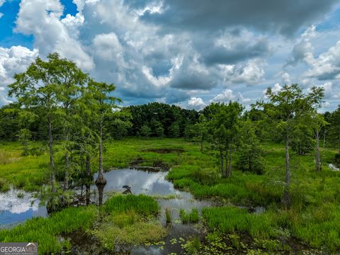 Photo of 1 Haynes Road, Edison, GA 39846 (MLS # 10788556)