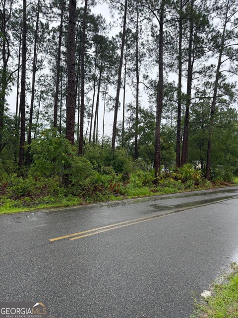 Photo of 30 Gibson Street, Nahunta, GA 31553 (MLS # 10789811)