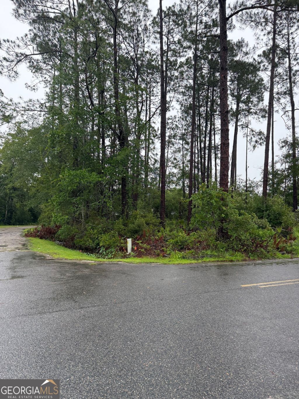 Photo of 30 Gibson Street, Nahunta, GA 31553 (MLS # 10789811)