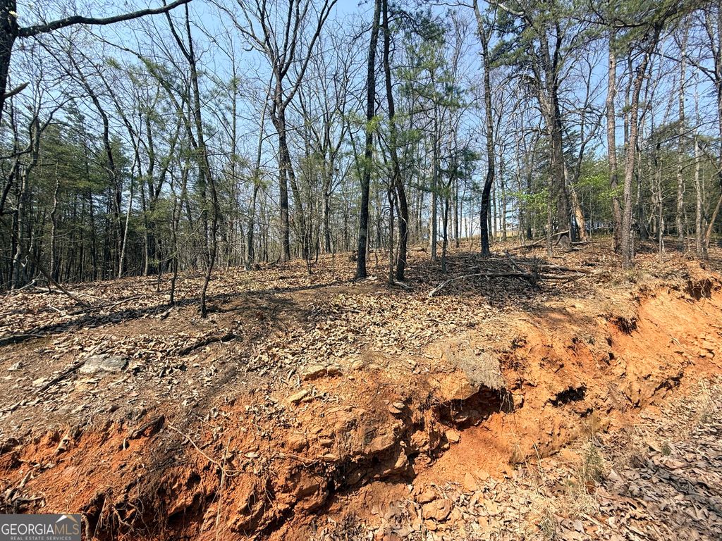 Photo of TRACT A Baldwin Heights Road, Baldwin, GA 30511 (MLS # 10804901)