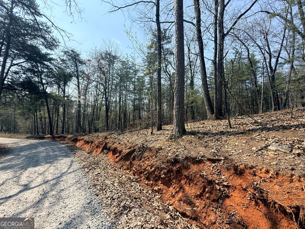 Photo of TRACT A Baldwin Heights Road, Baldwin, GA 30511 (MLS # 10804901)