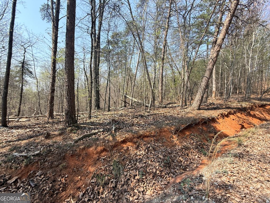 Photo of TRACT A Baldwin Heights Road, Baldwin, GA 30511 (MLS # 10804901)