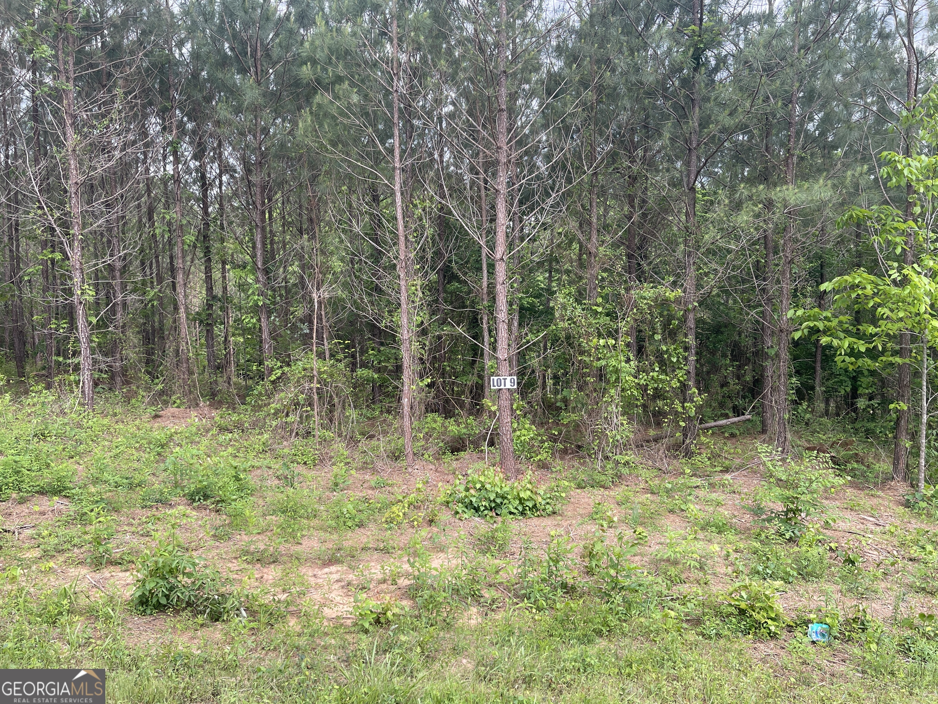 0 Bevis Rd Parcel 9