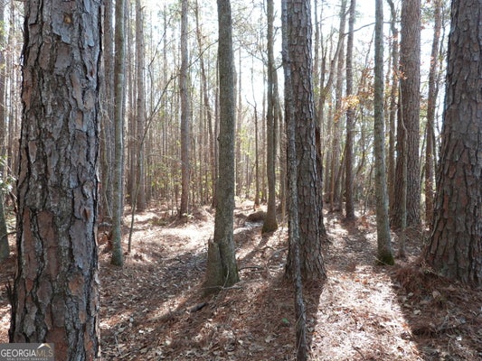 0 HIGHWAY 119 NORTH, ELLABELL, GA 31308 - Image f3e0e1cc663ad5d831e88d4606d20a8b/3315892367