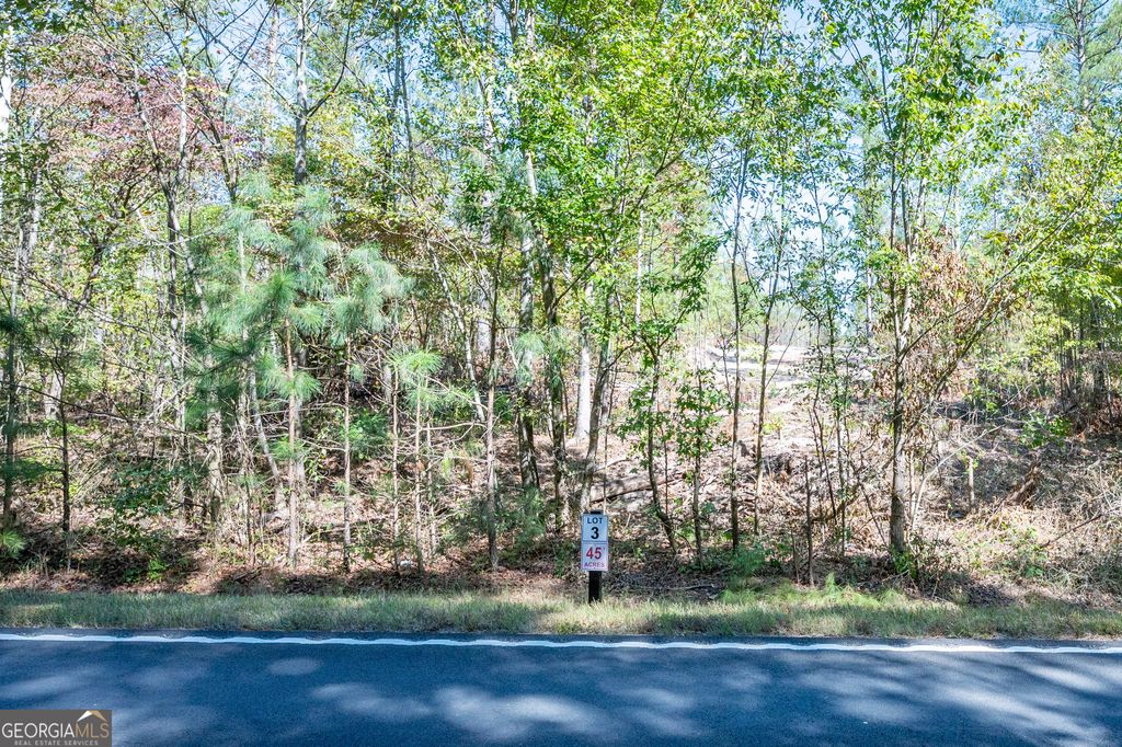 Photo of 3793 HWY 140 NE, Rydal, GA 30171 (MLS # 10632071)