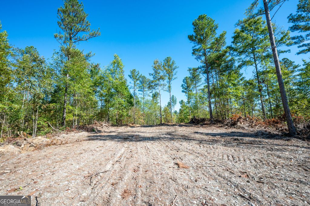 Photo of 3793 HWY 140 NE, Rydal, GA 30171 (MLS # 10632071)