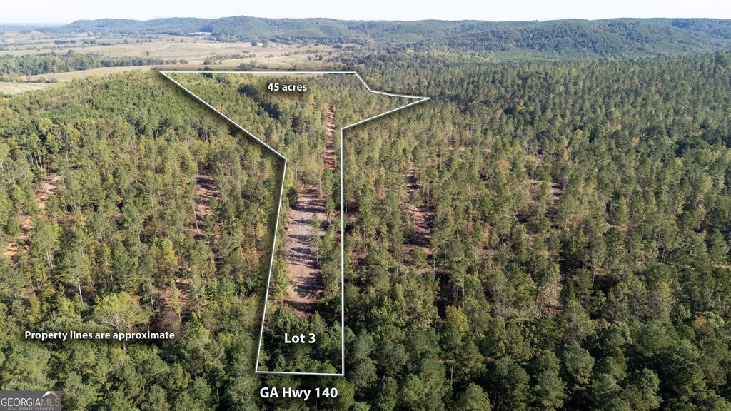 Photo of 3793 HWY 140 NE, Rydal, GA 30171 (MLS # 10632071)