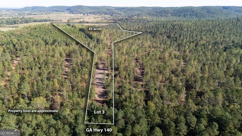 Photo of 3793 HWY 140 NE, Rydal, GA 30171 (MLS # 10632071) Photo of 3793 HWY 140 NE, Rydal, GA 30171 (MLS # 10632071)