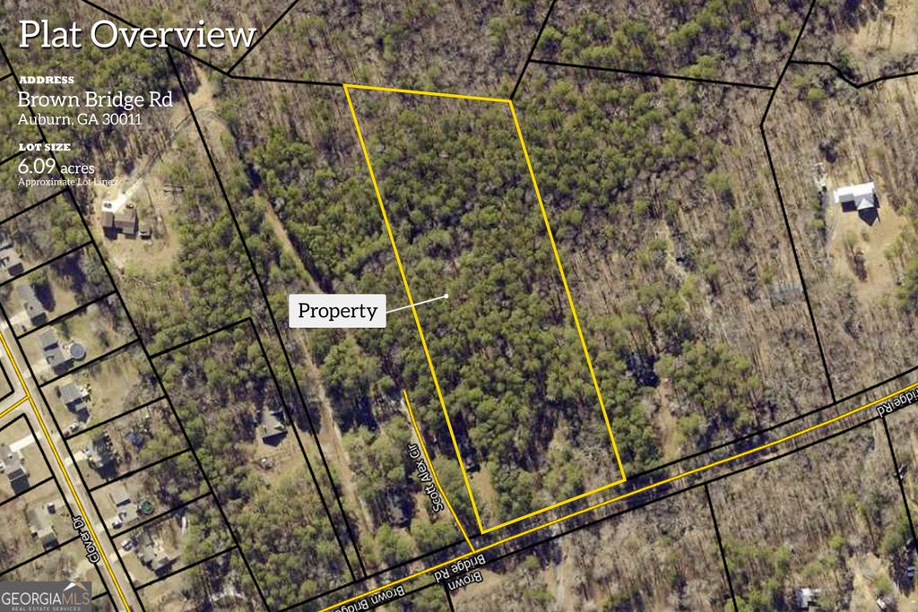 Photo of 342 Brown Bridge Road, Auburn, GA 30011 (MLS # 10797187)
