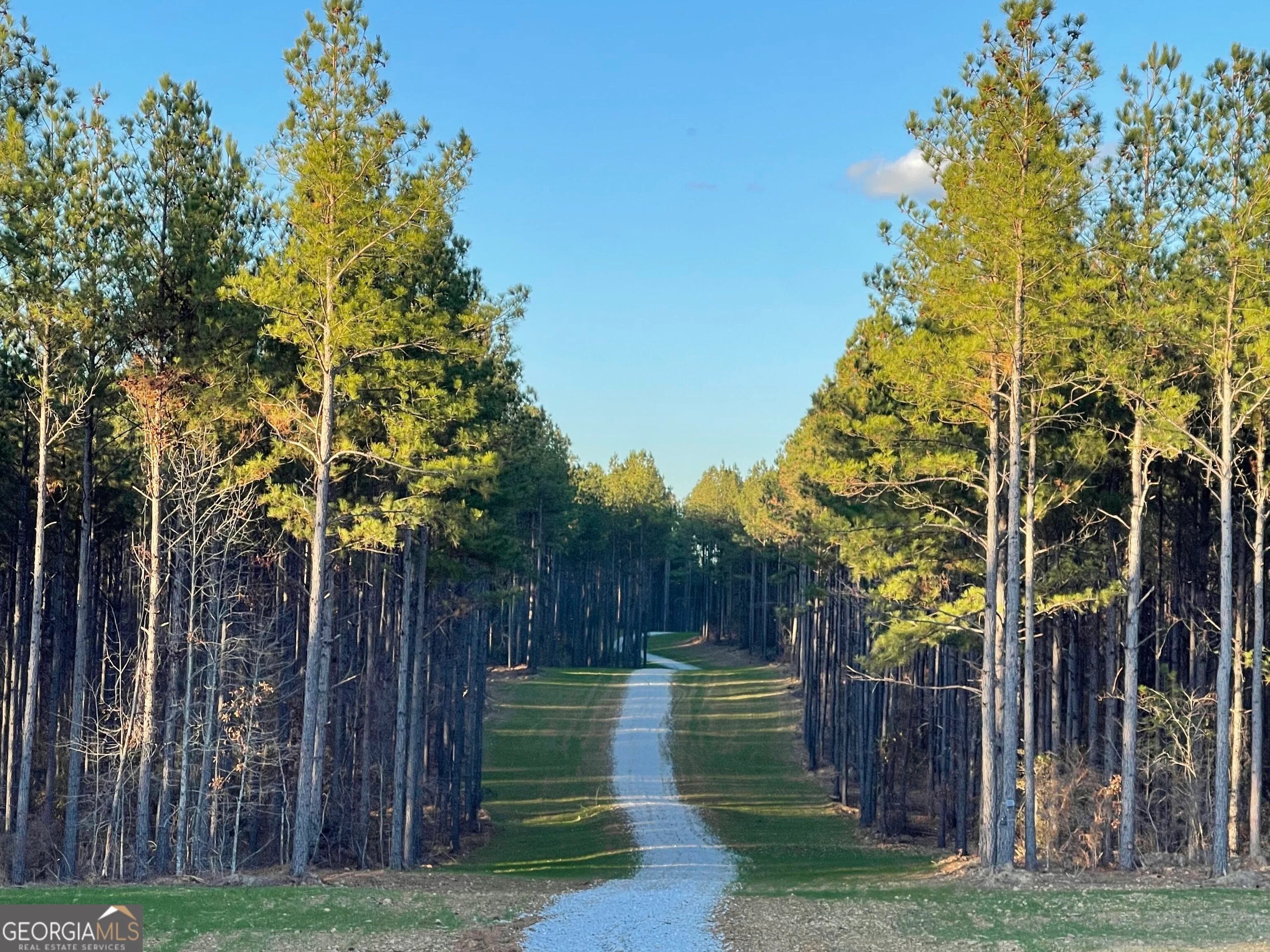 92 Lillian Strong Road, Carlton, GA, 30627
