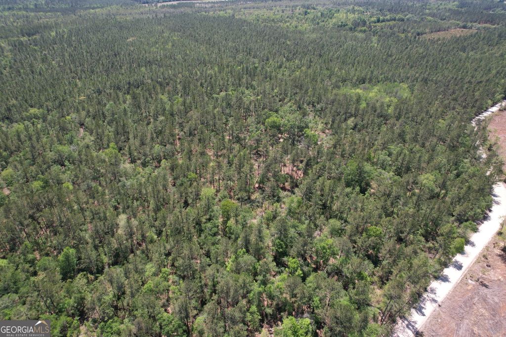 Photo of 0 Duncan Bridge Road, Millwood, GA 31552 (MLS # 10707286)