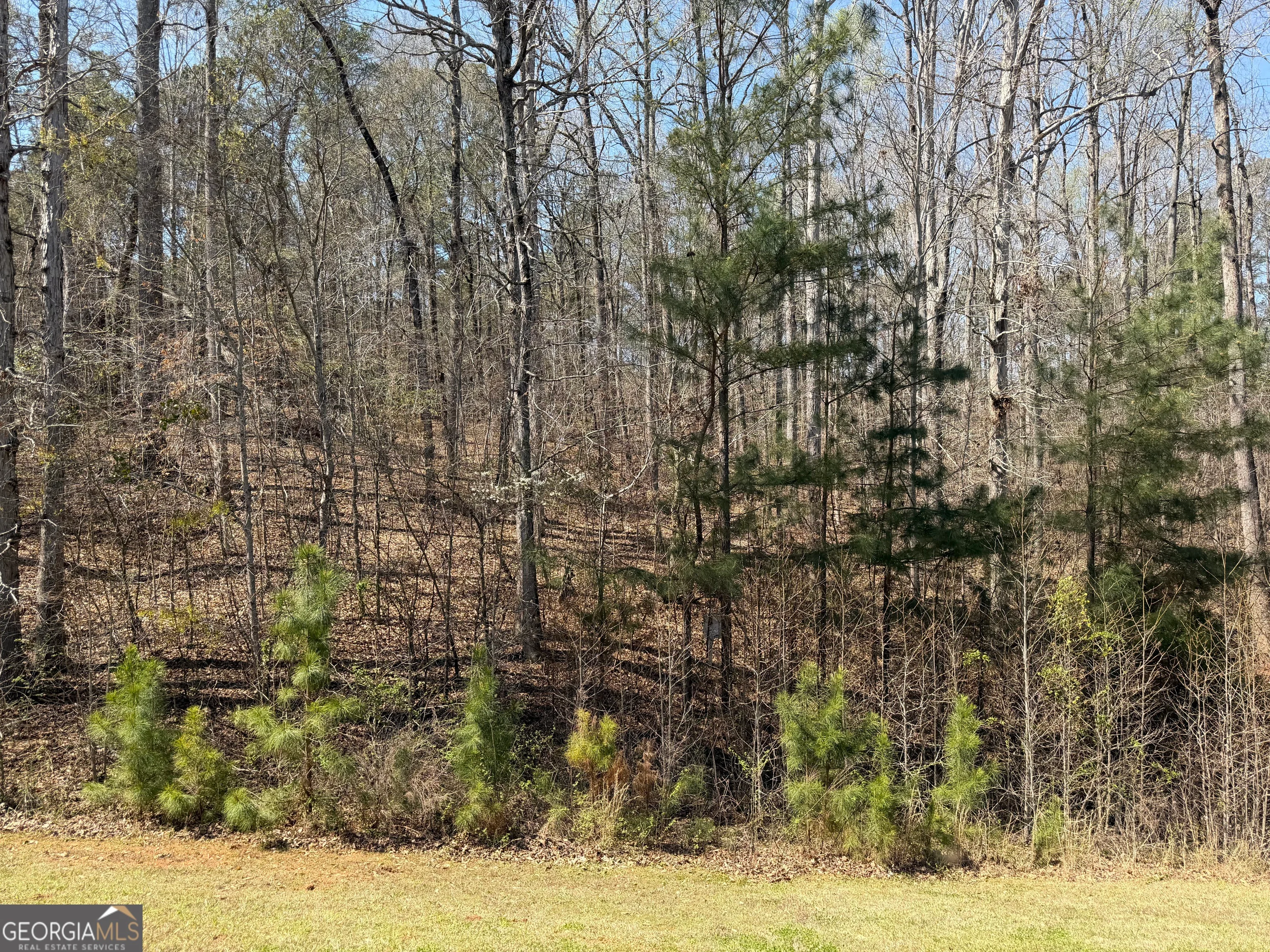 506 Forest Pointe Drive