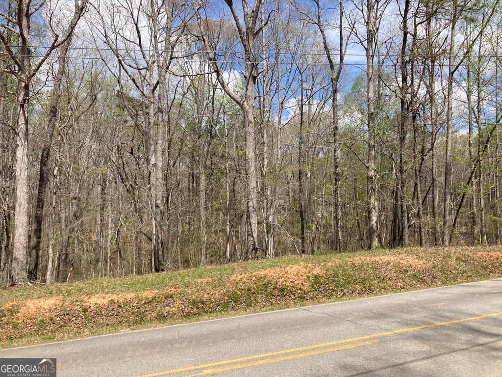 Photo of 0 Hog Liver Road, Carrollton, GA 30117 (MLS # 10721712)