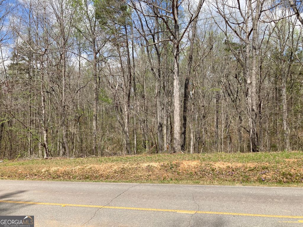 Photo of 0 Hog Liver Road, Carrollton, GA 30117 (MLS # 10721712)