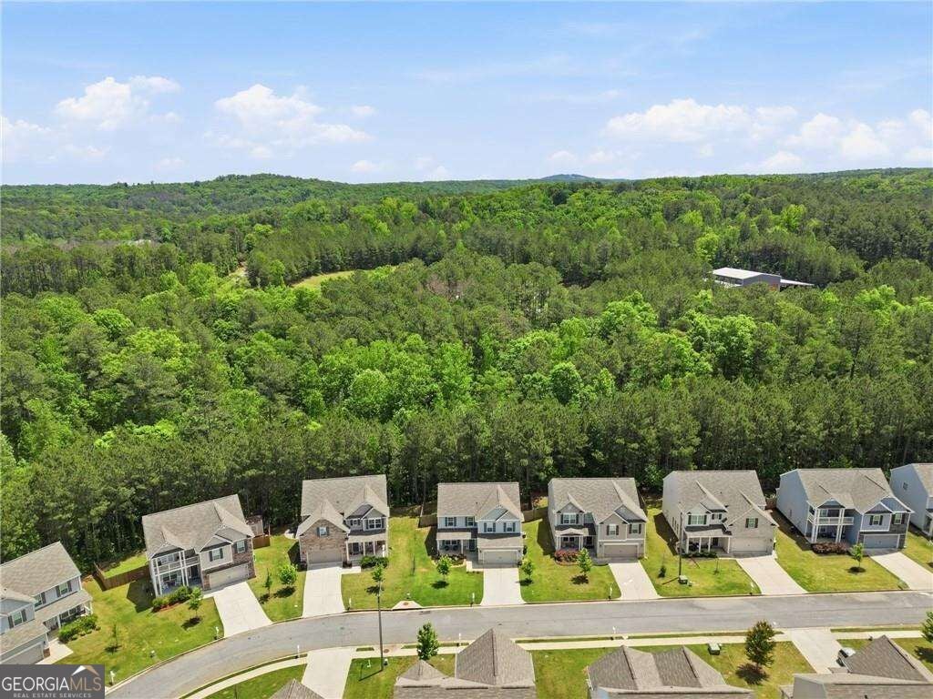 79 Lantana XING