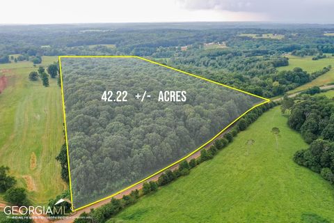 Photo of 396 W L Williams Road, Commerce, GA 30530 (MLS # 10692075)