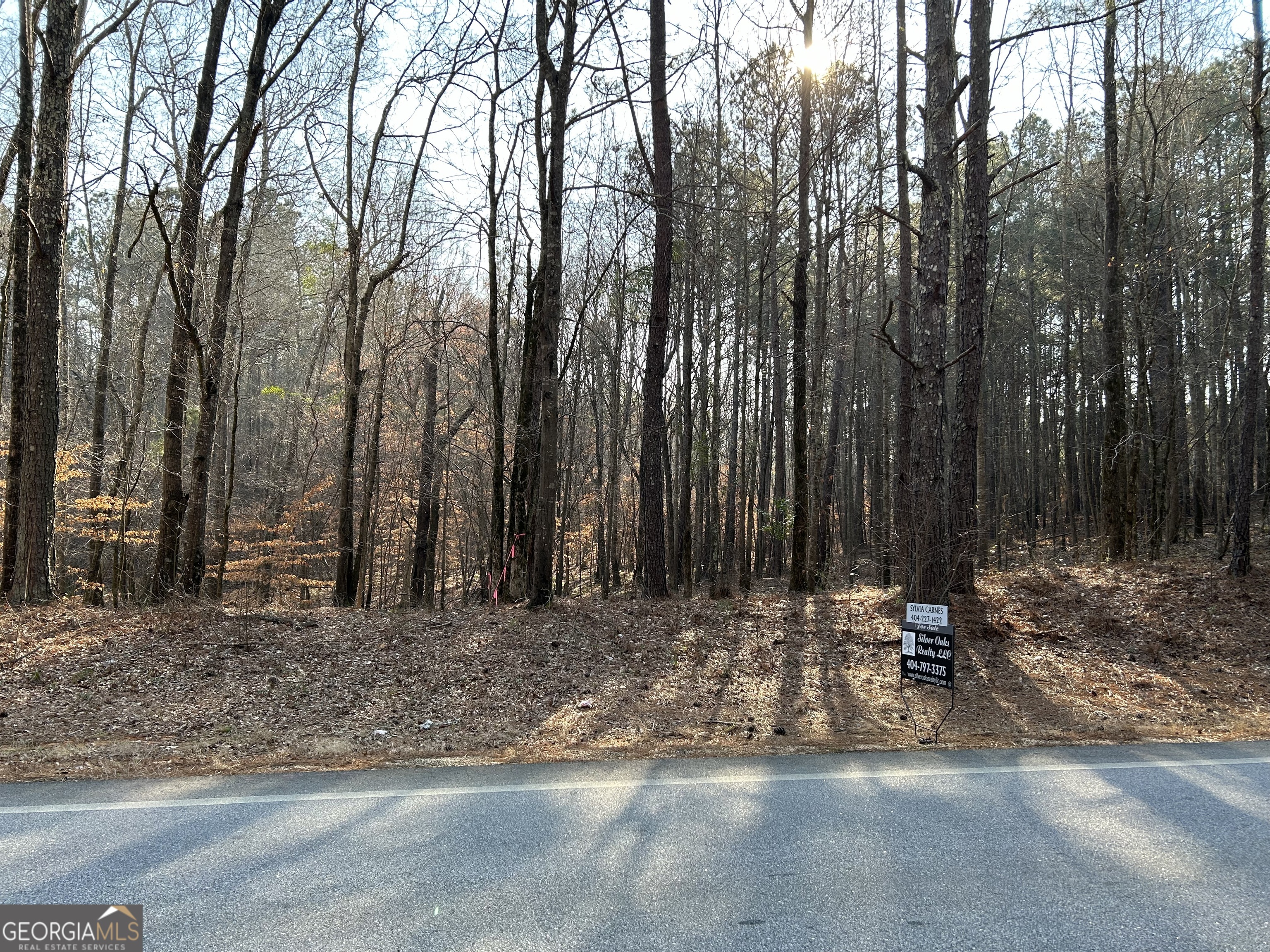 Listing image 1