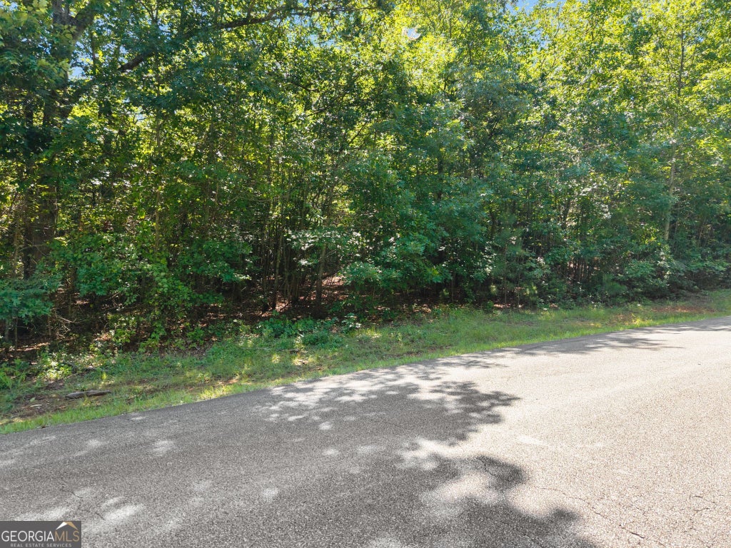 Photo of 0 Hwy 255, Cleveland, GA 30528 (MLS # 10809924)