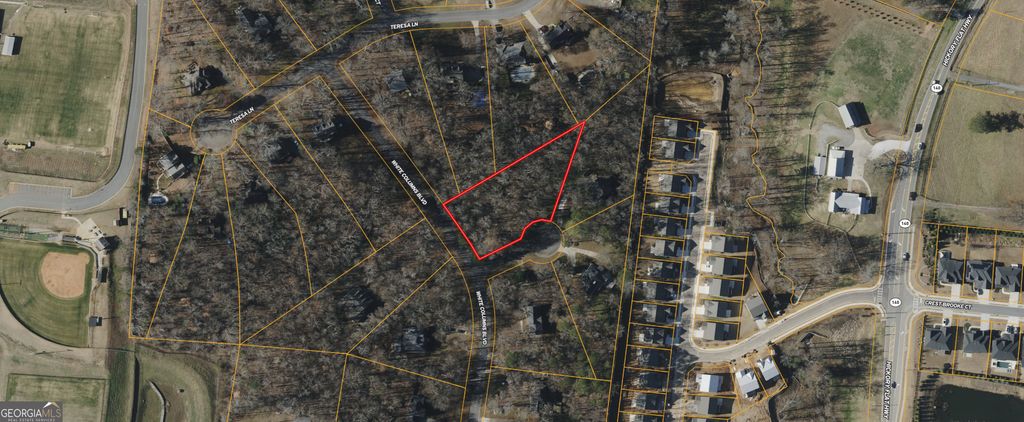 Photo of 0 Tara Branch Walk, Canton, GA 30115 (MLS # 10730301)
