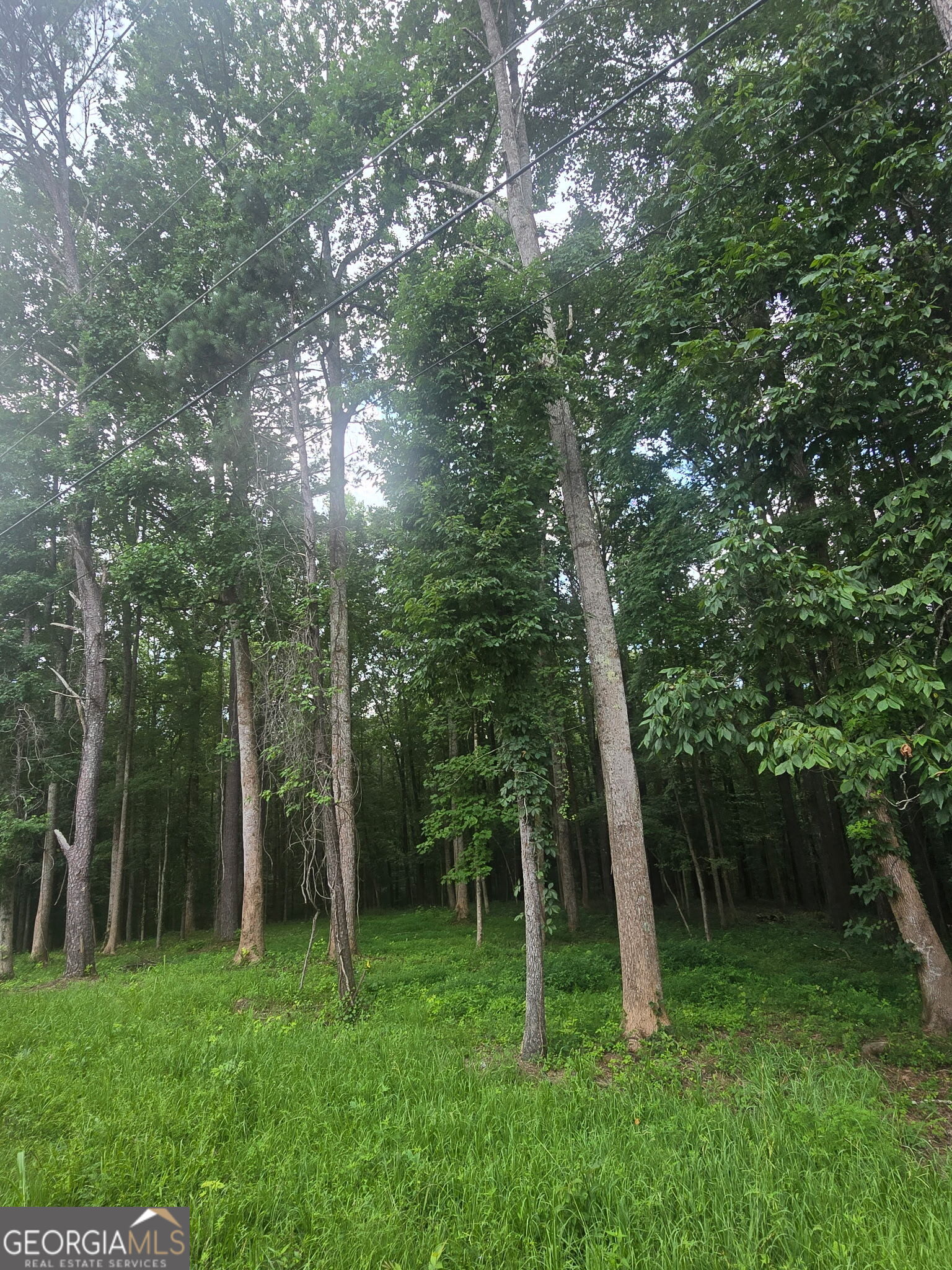 Please come out to see this fabulously located property over 7 acres, by today!!! This lot is conveniently located in Acworth where there's shops, grocery stores, hardware stores, churches, parks, pools, Etc. galore!!! In addition, the property is also located less than 8 miles from Woodstock where restaurants, gyms, grocery stores, hardware stores and the like are aplenty!!! This property offers serene wilderness located in the midst of a gorgeous forest!!! Therefore, you'll be thrilled to see all of nature's wildlife by your curbside!!! This canopy of trees will assist you when you getaway from busy traffic and endless city life!!! For a real sacred getaway come this property by today!!!