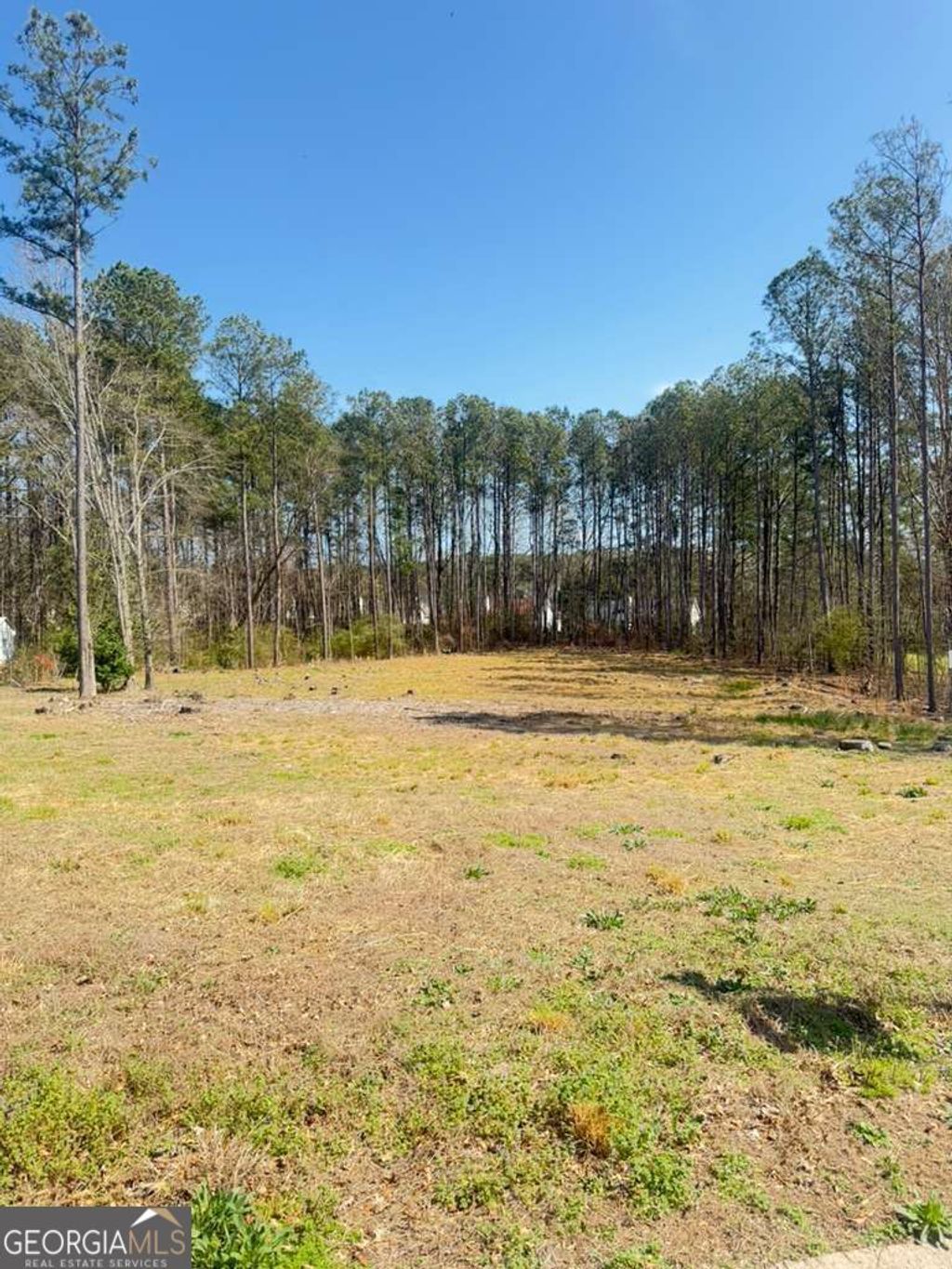 Photo of 1825 Ashton Brooke Lane, Buford, GA 30519 (MLS # 10707504)