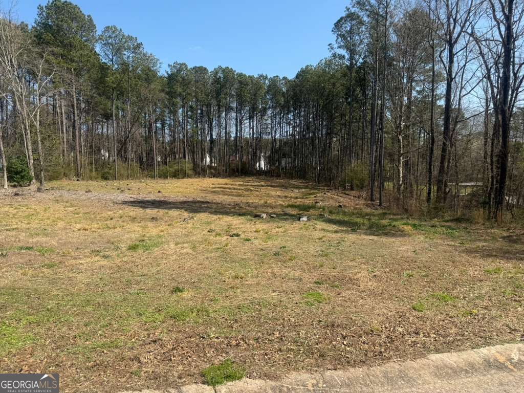 Photo of 1825 Ashton Brooke Lane, Buford, GA 30519 (MLS # 10707504)