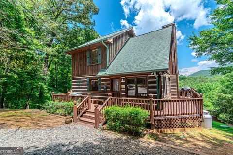 1023 Knollwood RD Mineral Bluff GA 30559