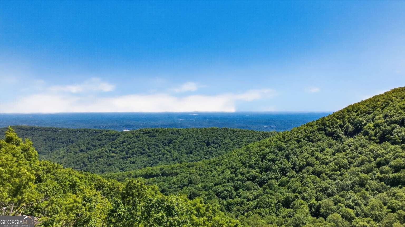1091 Deer Run RDG
