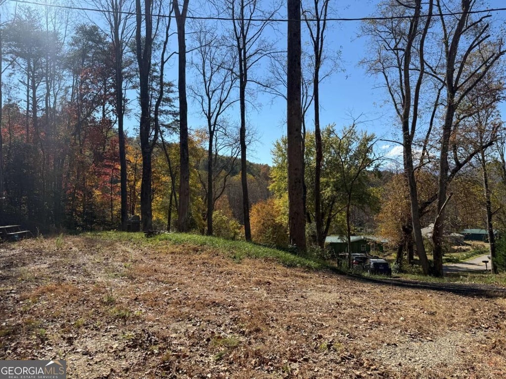 Photo of 2180 Bugscuffle SPUR, Hiawassee, GA 30546 (MLS # 10881502)