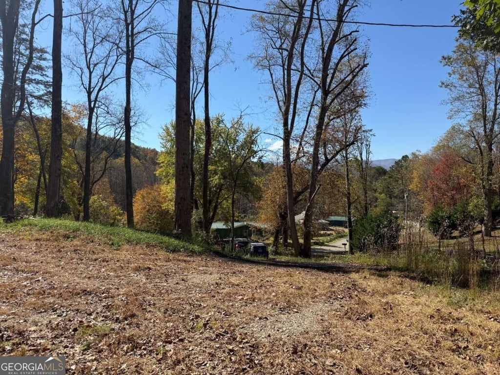 Photo of 2180 Bugscuffle SPUR, Hiawassee, GA 30546 (MLS # 10881502)
