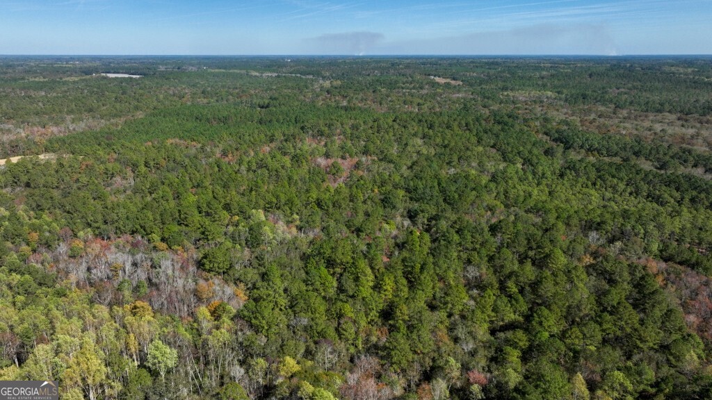 0 Twin Forks Rd/Martin RD TRACT 3