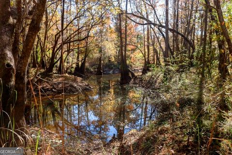 0 Twin Forks Rd/Martin RD TRACT 3 Statesboro GA 30458