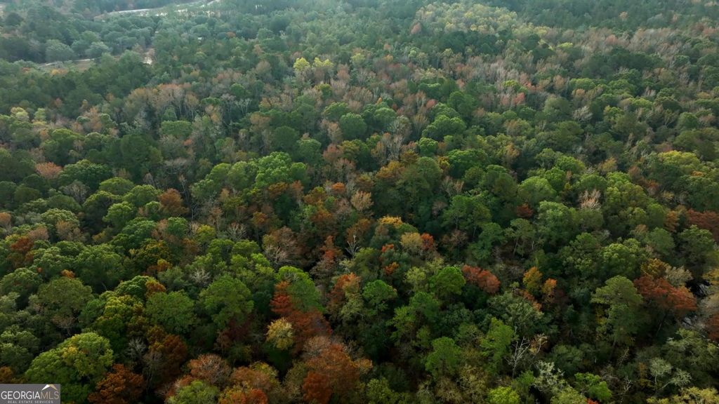 Photo of 0 Twin Forks Rd/Martin Road #TRACT 3, Statesboro, GA 30458 (MLS # 10700110)