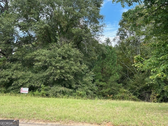 Photo 1 of 2 — 109 Burleyson DR, McDonough, GA 30253