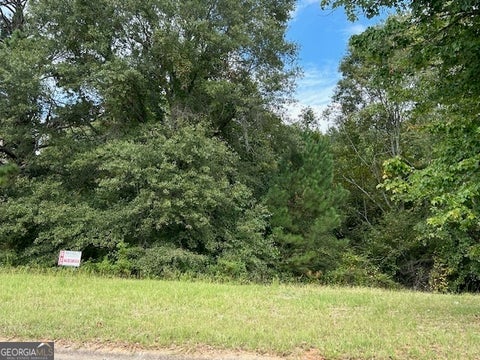 Photo of 109 Burleyson Drive, McDonough, GA 30253 (MLS # 10793919)
