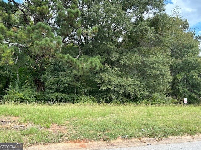 Photo of 109 Burleyson Drive, McDonough, GA 30253 (MLS # 10793919)