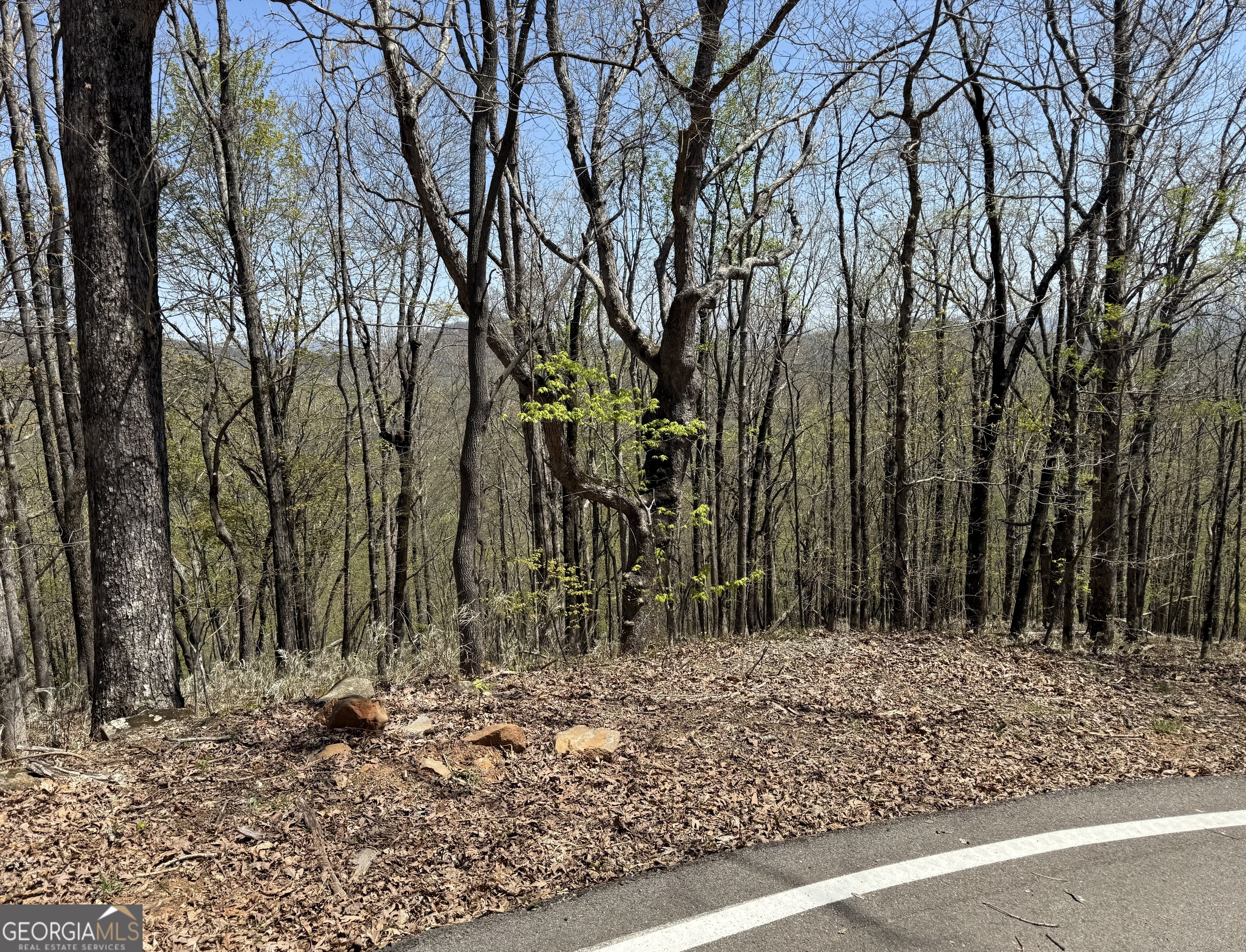 Don't miss one of the few remaining long-range view lots in the prestigious, gated community of Big Canoe. This gently sloped, wooded lot offers a perfect blend of privacy and panoramic scenery, featuring a stunning interior view of Big Canoe along with expansive North and East-facing long-range mountain views-the perfect backdrop for your future dream home. With a versatile and friendly build site, you'll have plenty of options to create a home that maximizes outdoor living and captures the breathtaking natural surroundings. As a resident of Big Canoe, you'll enjoy world-class amenities including 27 holes of championship golf, indoor and outdoor tennis, pickleball, miles of hiking and nature trails, three pristine lakes for fishing, kayaking, and paddleboarding, a modern fitness center, a luxurious clubhouse, swimming pools, and a lakeside beach club. Build your mountain retreat and experience the best of mountain living with resort-style amenities, all just an hour north of Atlanta
