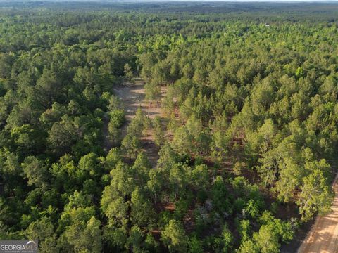 Photo of 3570 William Dennis Road, Caldwell, GA 31009 (MLS # 10762808)