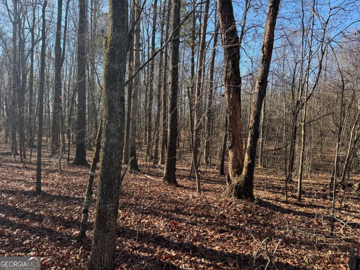 6601 Hog Mountain Hwy - Hwy 53 PARCEL B - 3 ACRES