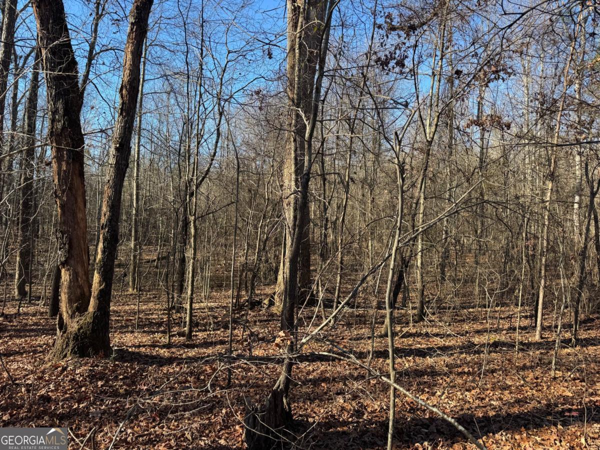 6601 Hog Mountain Hwy - Hwy 53 PARCEL B - 3 ACRES